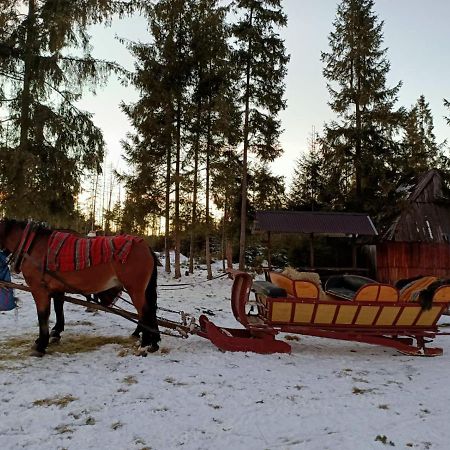Anielki Apartament Zakopane Eksteriør bilde