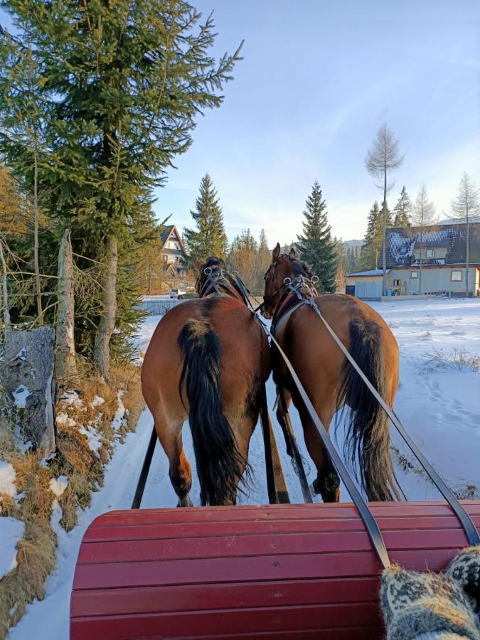 Anielki Apartament Zakopane Eksteriør bilde